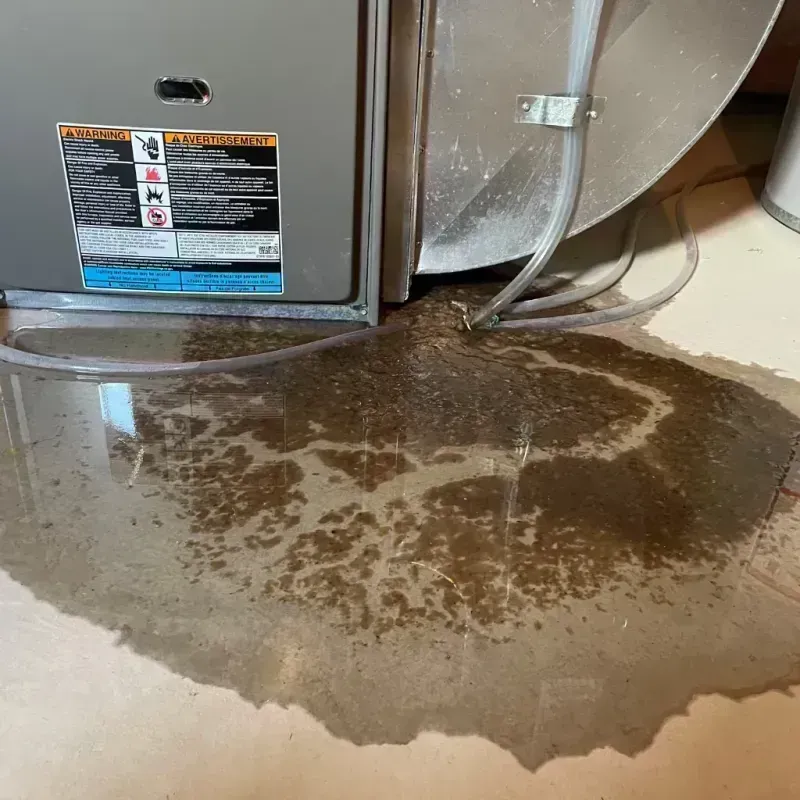 Appliance Leak Cleanup in Oran, MO